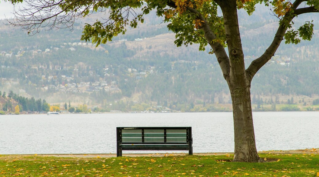 City Park featuring a park and a lake or waterhole