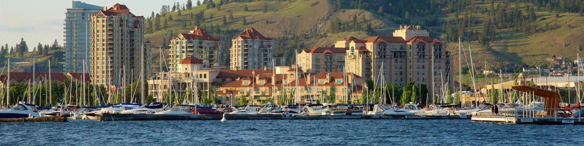 City Park which includes general coastal views, a coastal town and tranquil scenes