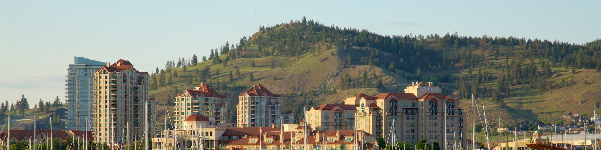 City Park which includes general coastal views, a coastal town and tranquil scenes