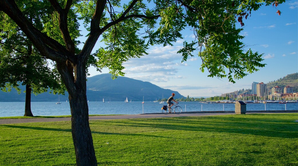 City Park montrant vélo, parc et lac ou étang