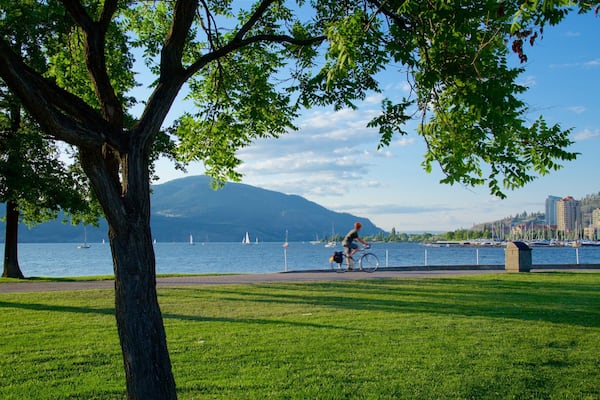 City Park mit einem See oder Wasserstelle, Park und Fahrradfahren