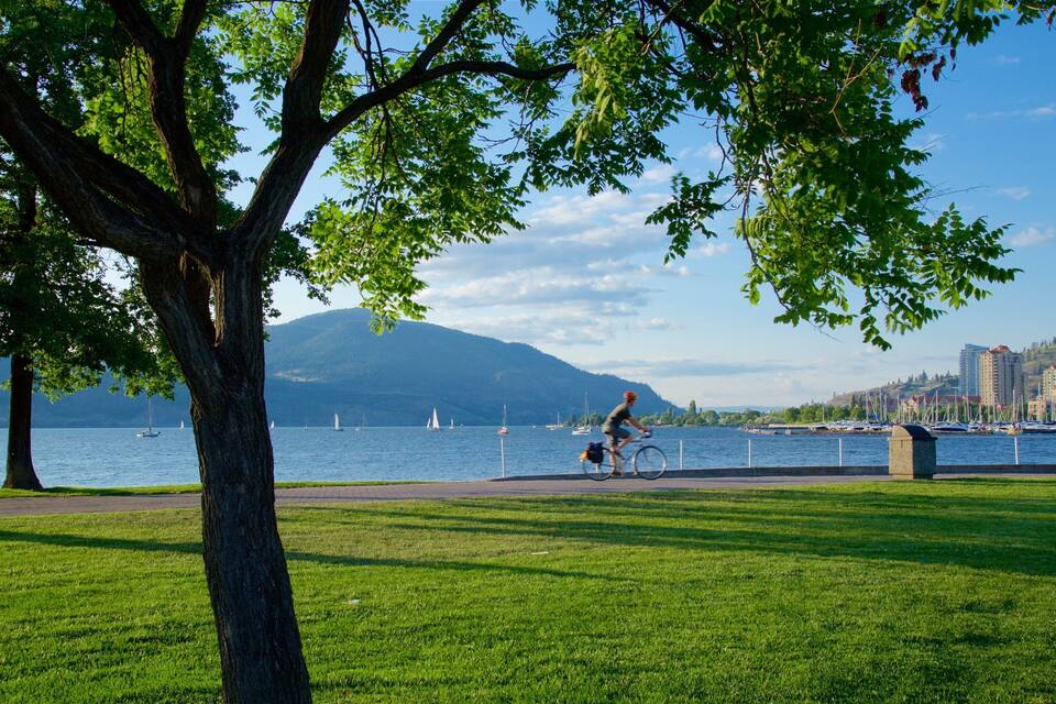 A park with a lake, sailboats, and a cyclist.
