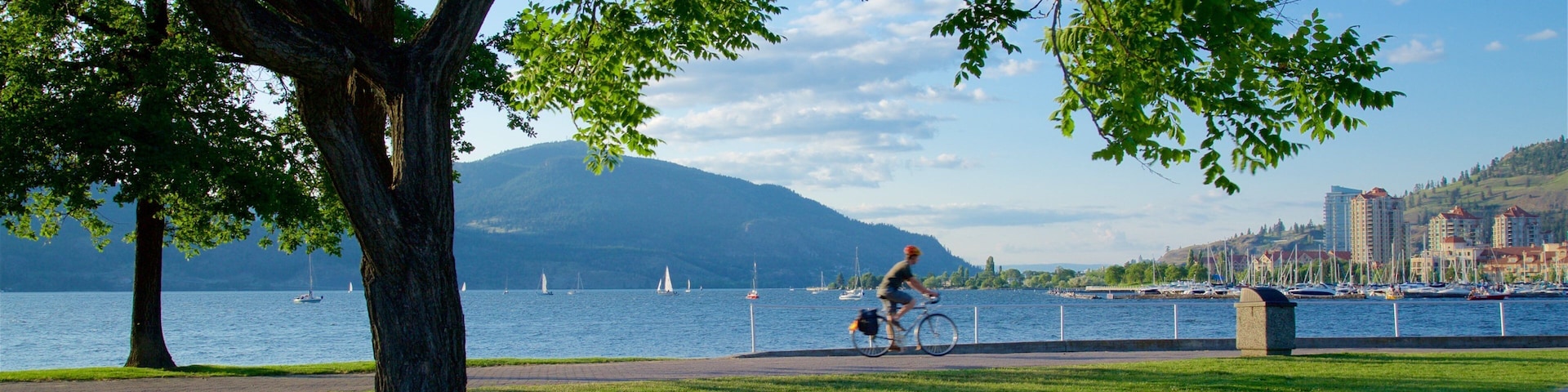 City Park which includes a park, a lake or waterhole and cycling