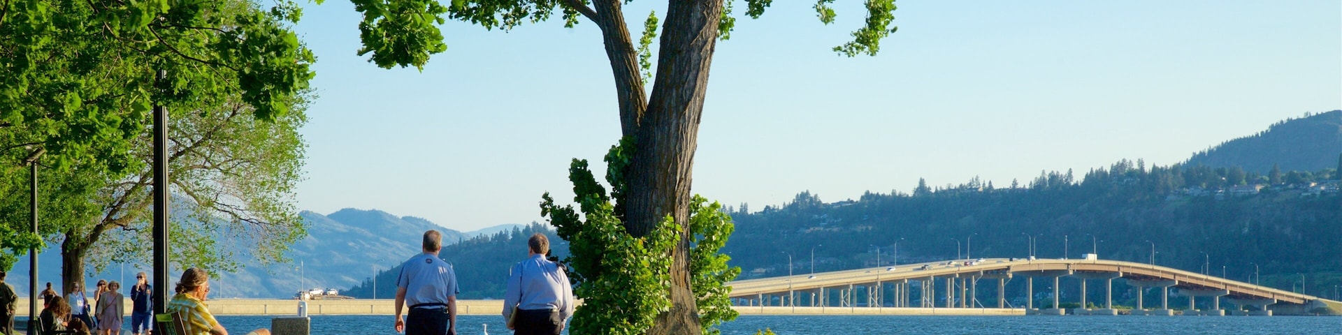 Parque de la Ciudad mostrando un jardín, un río o arroyo y un puente