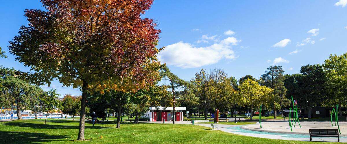 EyeEm Custom Shoots Q4 2018