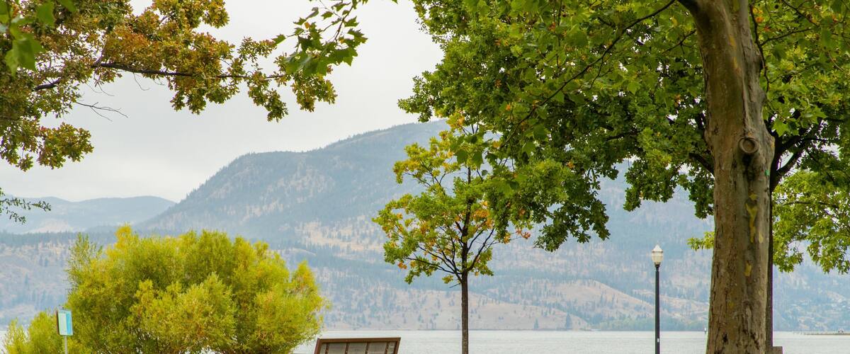 City Park featuring a park and a lake or waterhole