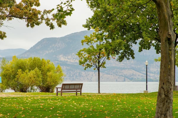 City Park featuring a park and a lake or waterhole