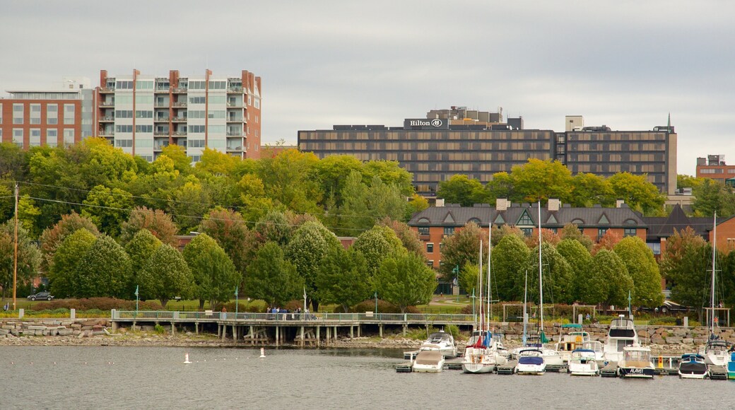 Lake Champlain Ferry which includes a marina and rugged coastline