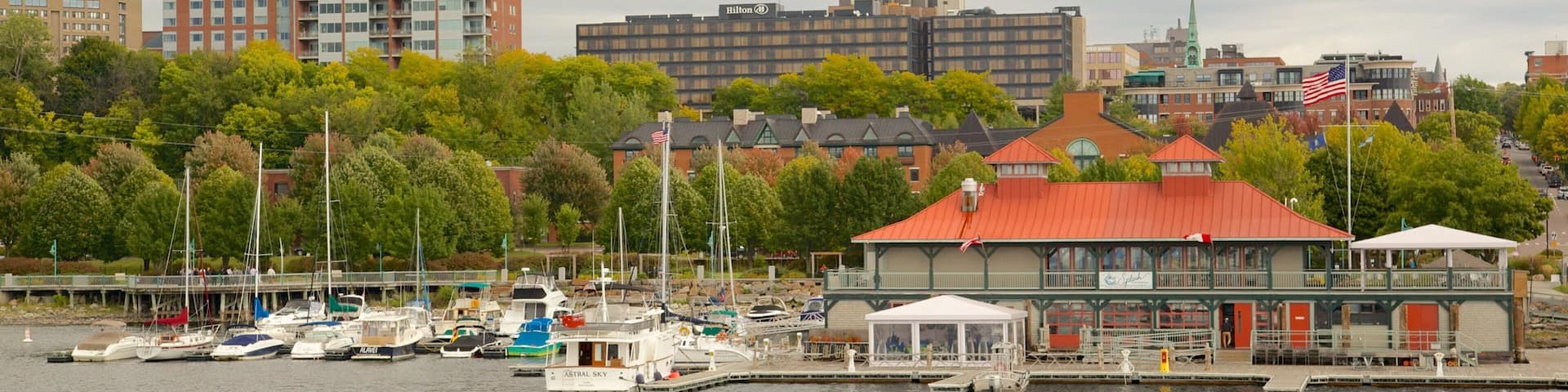 A marina with boats docked, a red-roofed building, and a city skyline in the background.