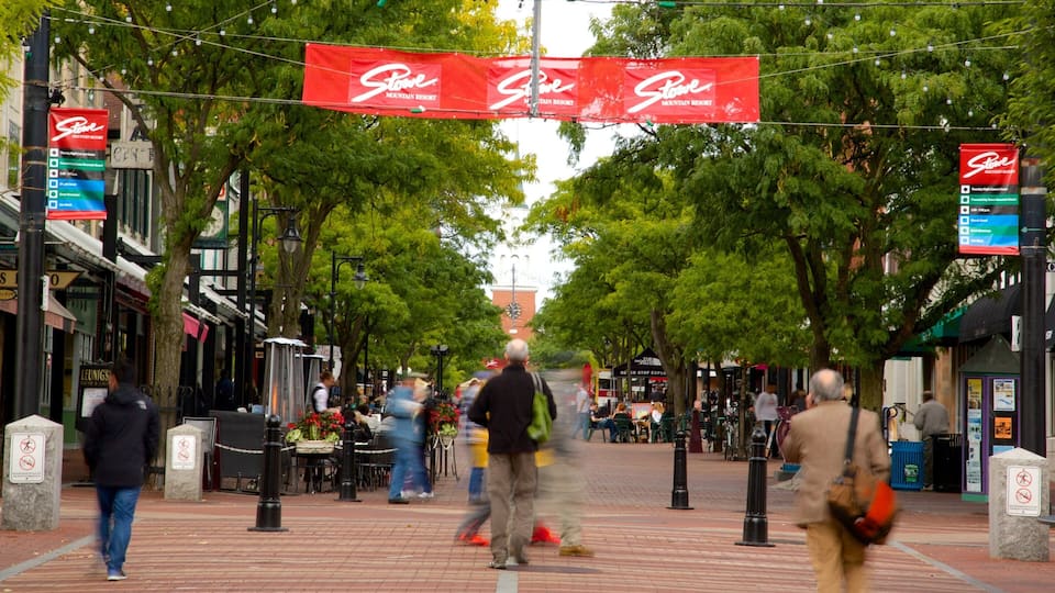 Church Street Marketplace showing markets and street scenes as well as a large group of people