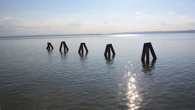 Podersdorf is a true summer paradise. From the Light House you have a wonderful view.