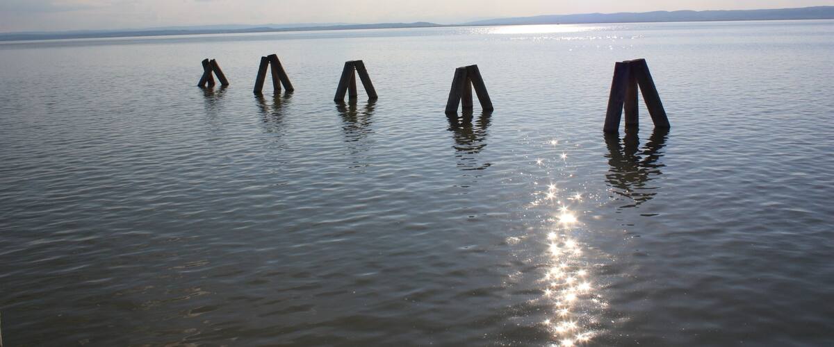 A calm body of water with wooden posts standing upright in the center.