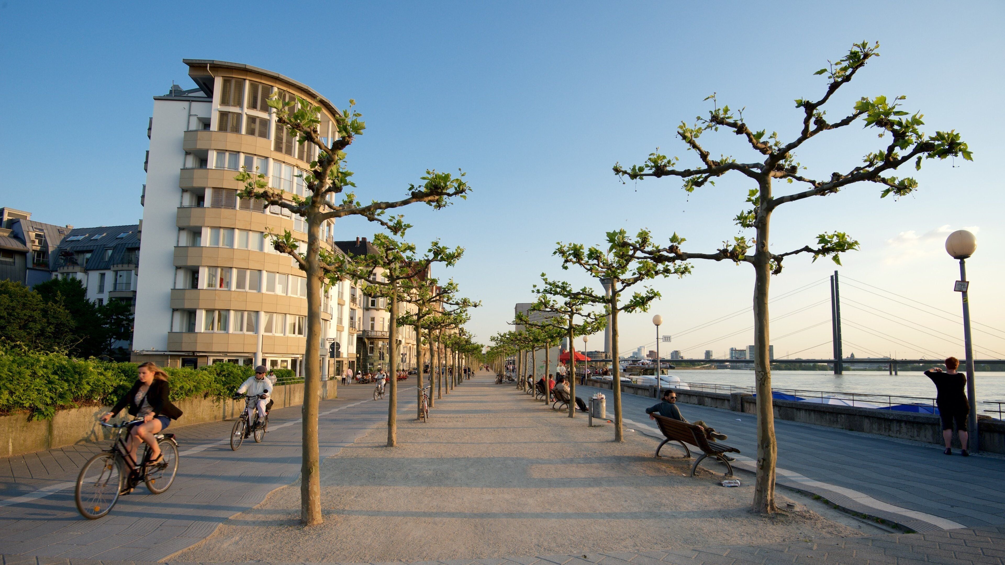 Rhine Promenade