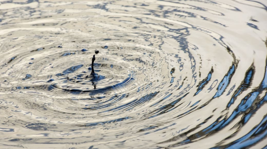 Mudam Luxembourg showing a fountain