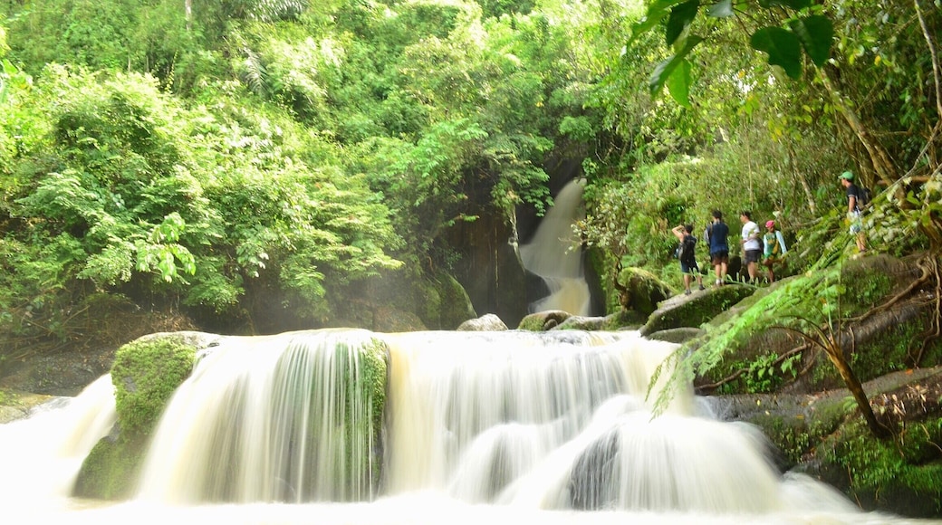 Just one of the many small falls along the trail going to a hidden gem.
San Salvador, Luisiana, Laguna. #Philippines #natgeotravel #lonelyplanet #ecotourism #travel #falls #laguna
For more info on the 3 waterfalls in Luisiana, Laguna, pls go to this link:
https://biyahengjuansided.wordpress.com/2015/12/12/luisiana-laguna-a-home-of-captivating-waterfalls/
