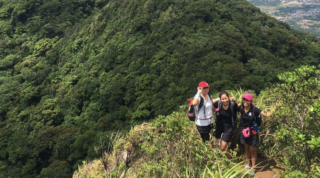 Mt. Makiling Traverse.
10 hours of non-stop assault and descend. #hiking #nature
