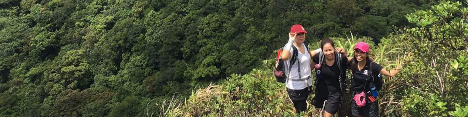 Mt. Makiling Traverse.
10 hours of non-stop assault and descend. #hiking #nature