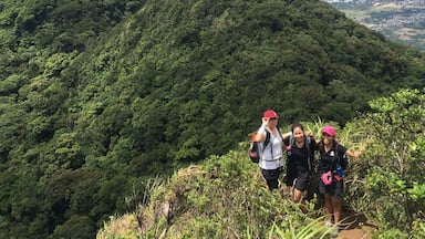 Una montaña verde y exuberante con excursionistas.