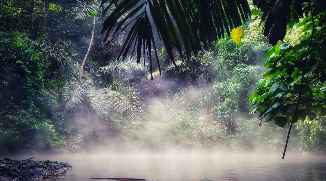 Mud spring of Mt.Makiling