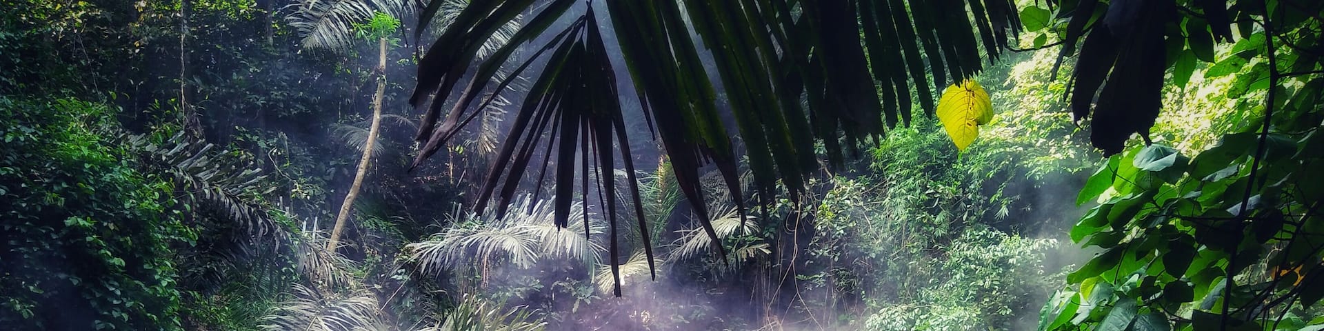 Mud spring of Mt.Makiling