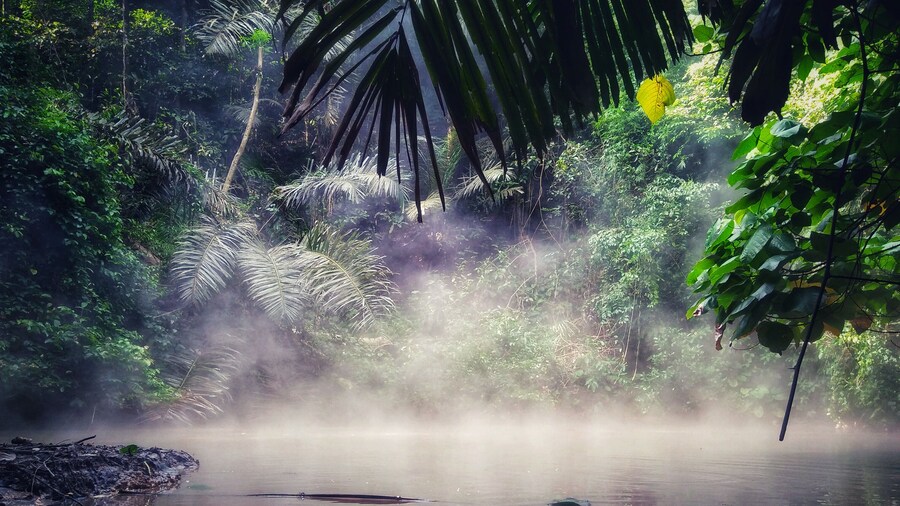 Mud spring of Mt.Makiling
