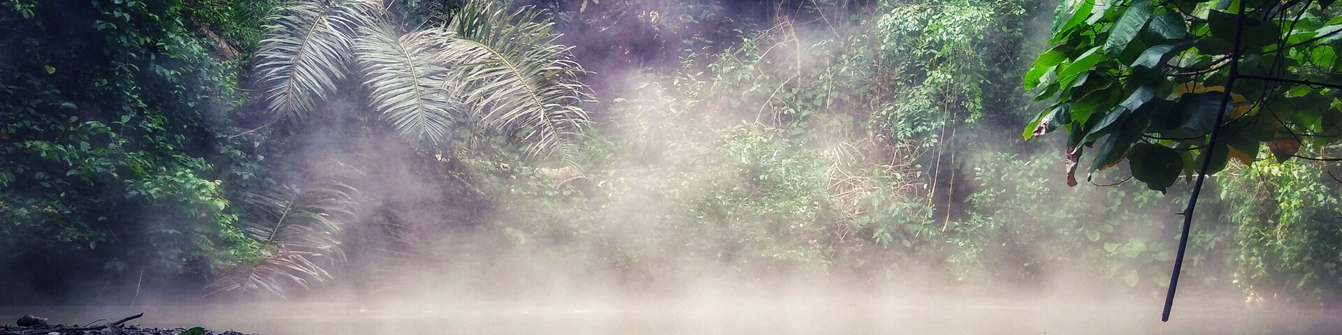 A misty river surrounded by dense tropical foliage.