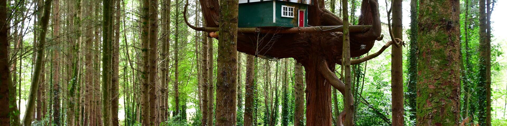 The Elf & Fairy village, Castlecomer Discovery Park, Co. Kilkenny, Ireland