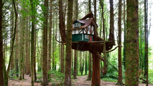 The Elf & Fairy village, Castlecomer Discovery Park, Co. Kilkenny, Ireland