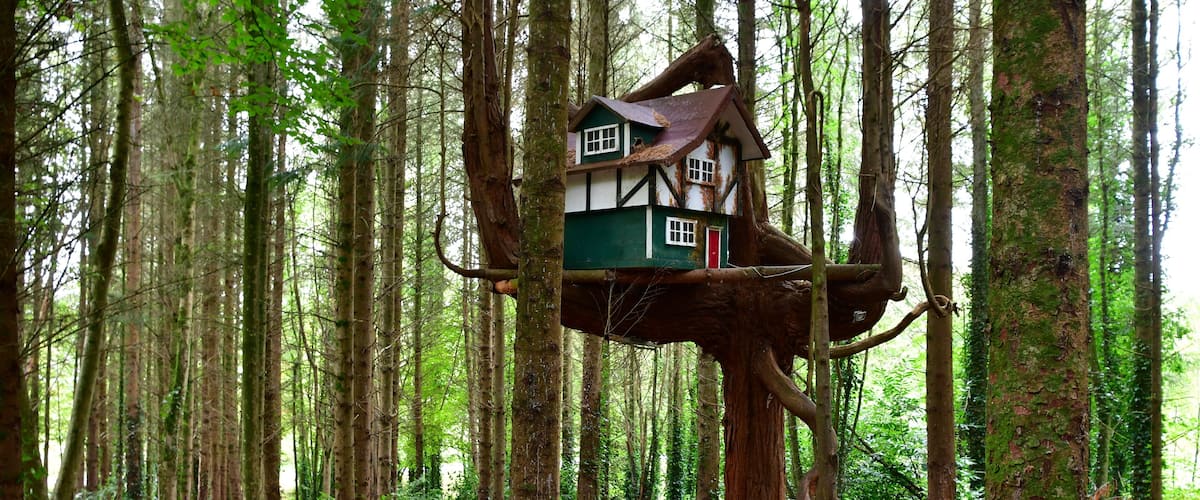 A treehouse in a forest.