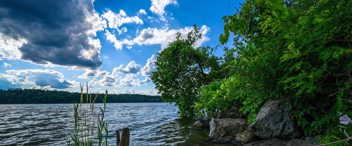 A lake with rocks and vegetation.