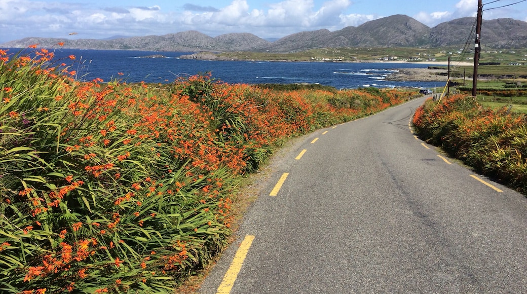 There is no place better (or prettier) than west Cork on a summer's day, in the sun. #roadtrip