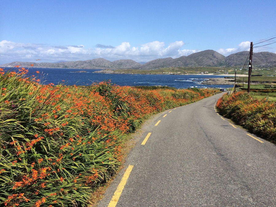 There is no place better (or prettier) than west Cork on a summer's day, in the sun. #roadtrip