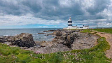 Panorama Küste von Irland mit Hook Lighthouse