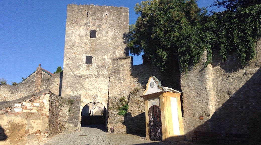 The remains of the town walls and gate on Blutgasse in the Austrian town of Hainburg an der Donau.
#hainburganderdonau