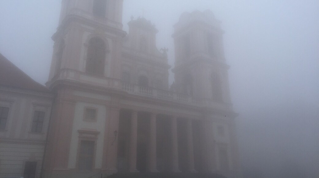 Gottweig Abbey was established in the 11th century. It has had monks onsite for over 900 years, longer than any other Abbey or monastery in Europe. Most of the structures burnt to the ground in the 18th century, so a majority of the buildings are a mere 300 years old. The Abbey library contains an outstanding collection of both print volumes and drawings, many of which have now been digitized through a partnership with Danube University-Krems. While the heavy fog that often rolls off the Danube makes the scene look pretty gothic, the cathedral is actually baroque.
