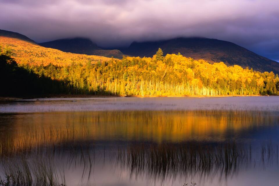 A calm lake reflecting a forest with autumn foliage and mountains in the background.