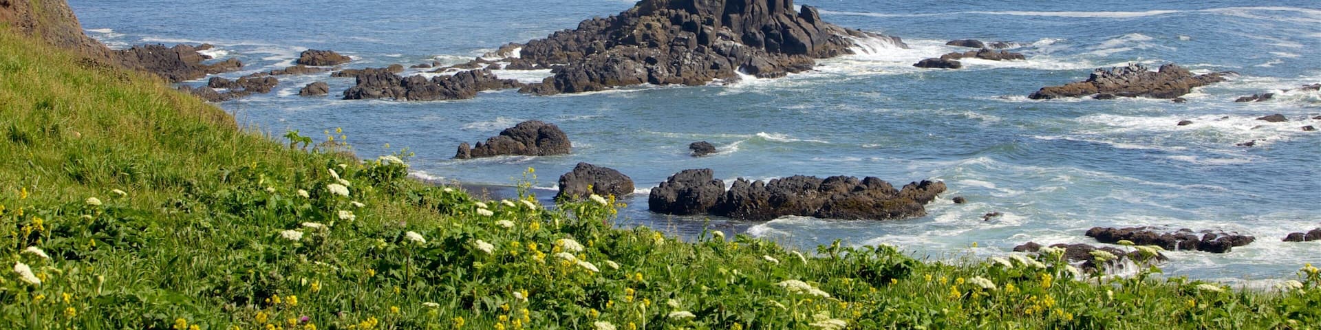 A rocky coastline with a prominent rock formation in the center, surrounded by ocean waves and a distant cityscape.