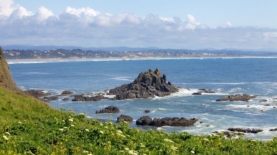 Yaquina Head Light House which includes a coastal town, wildflowers and rugged coastline