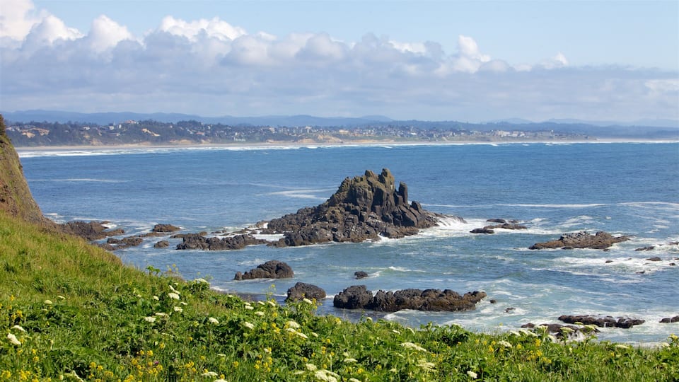 A rocky coastline with a prominent rock formation in the center, surrounded by ocean waves and a distant cityscape.