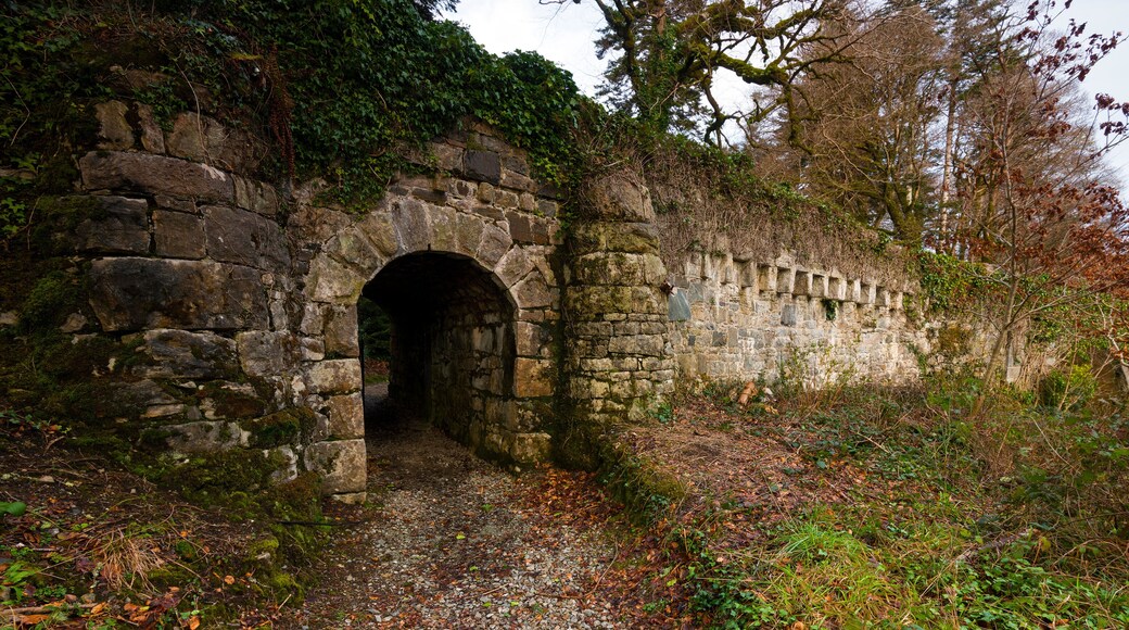 The main road and gate leading to Ballynahinch Castle in the Connemara of Ireland.