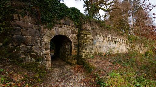 باليناهينش