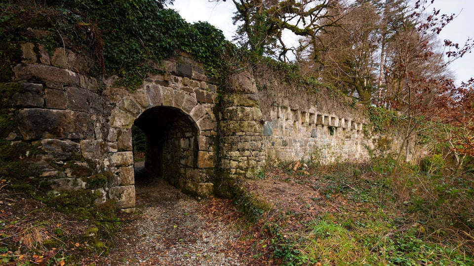A stone archway leading into a forested area with a stone wall on the right.