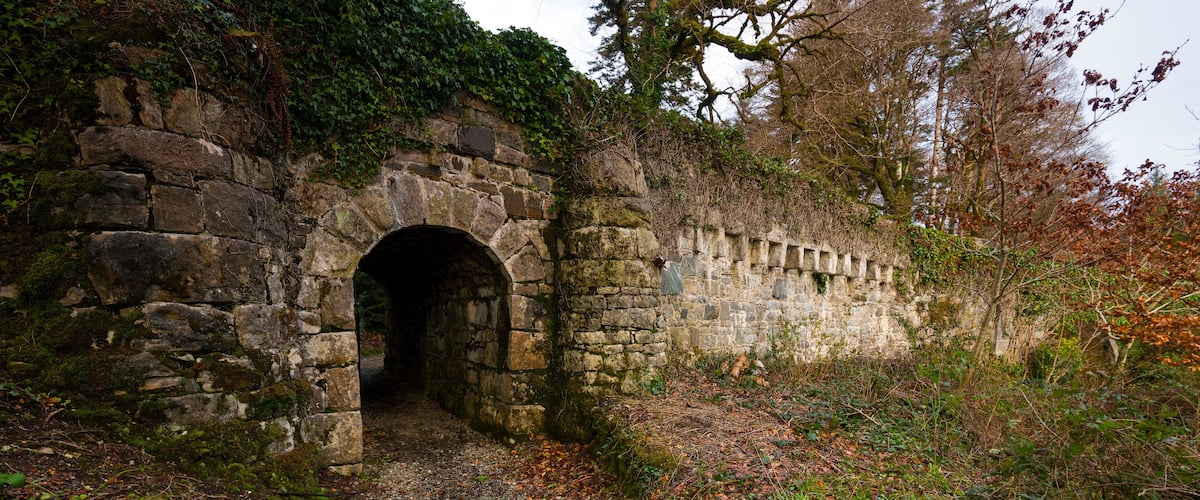 A stone archway leading into a forested area with a stone wall on the right.