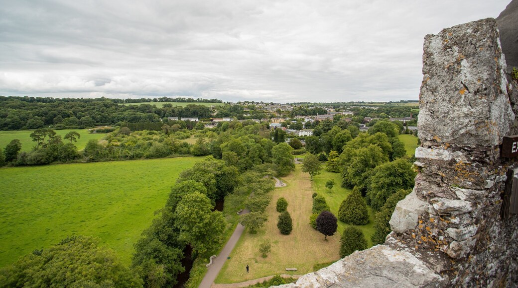 Blarney Stone which includes views and tranquil scenes