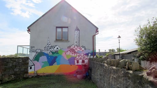 We were passing through Killala and saw a Round Tower (the Killala Round Tower), while walking around to get a better view of the Tower we spotted this mural on the side of a Home.