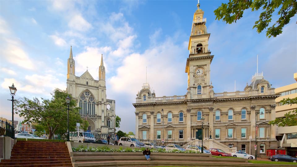 Dunedin Town Hall showing an administrative buidling, a church or cathedral and heritage architecture