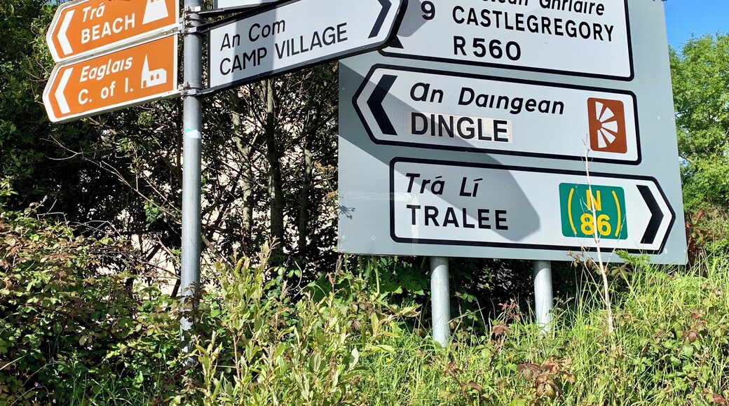 So many choices on the Dingle Peninsula