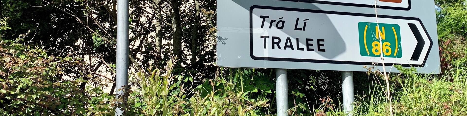 So many choices on the Dingle Peninsula