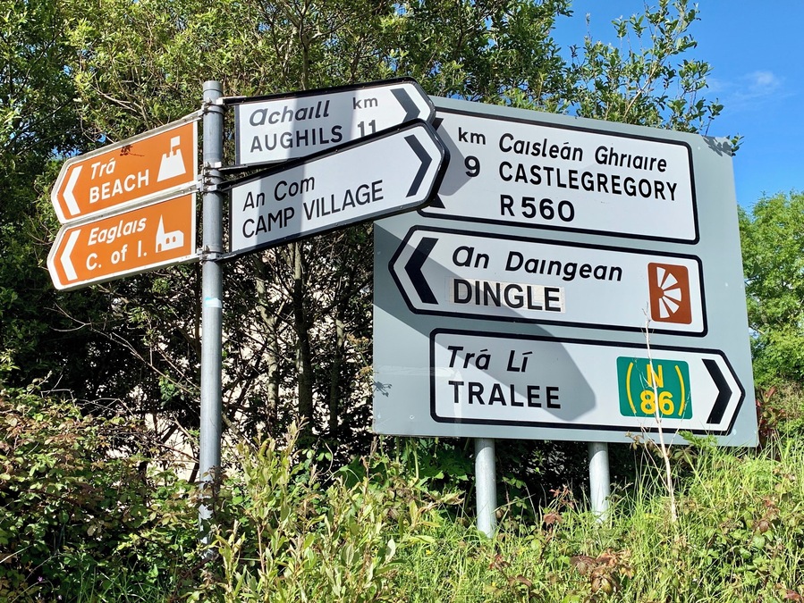 So many choices on the Dingle Peninsula