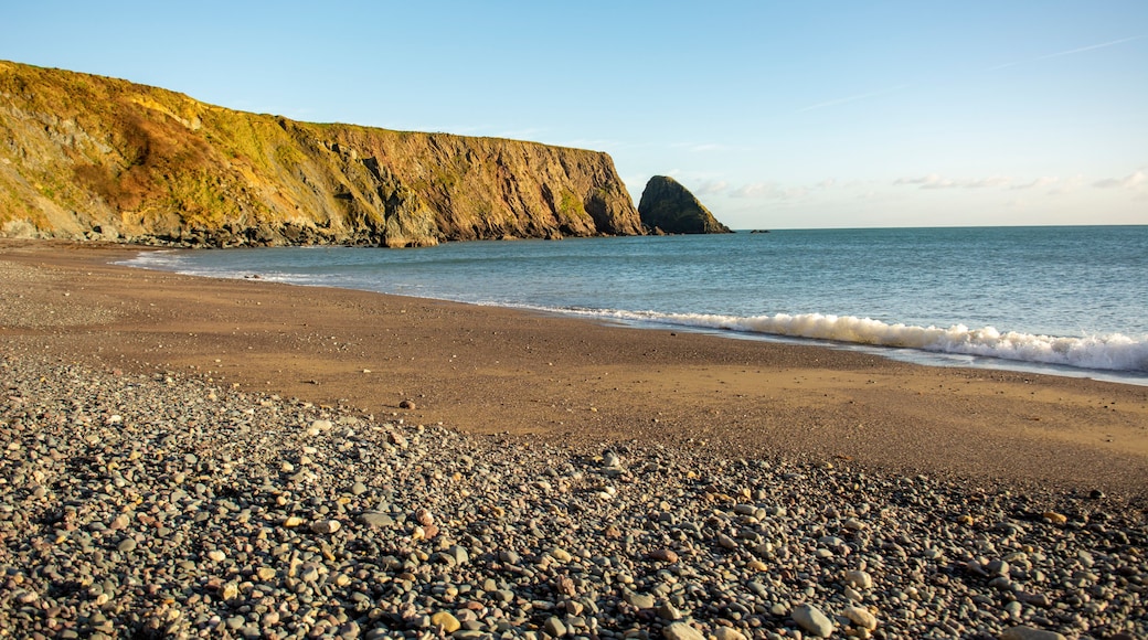 Une plage de galets, avec une falaise rocheuse et une mer calme.